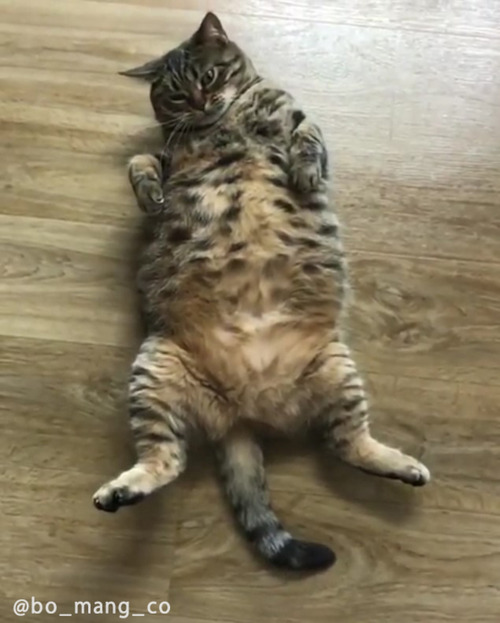 ������㥭��å��ͤ�01