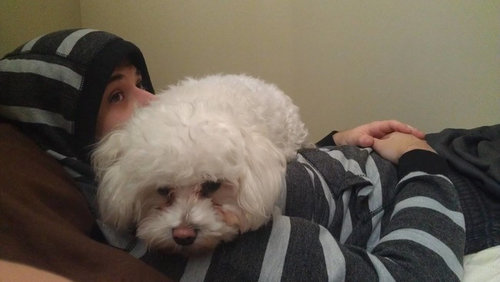 距離感が近い犬たち06