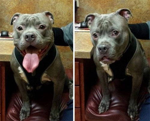 �ð�˹Ԥ��ȸ�ä���11