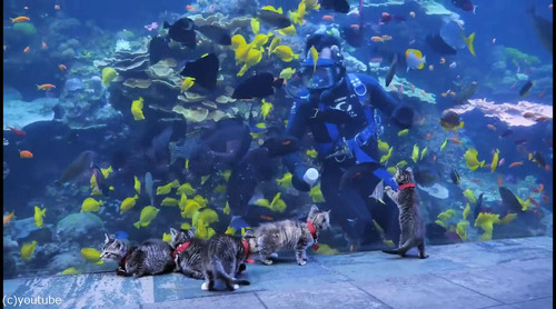 ���硼������²�ۤ�ˬ�줿��ǭ����03