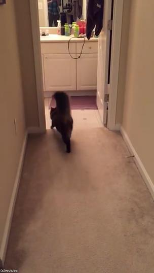 �פȺʤ���ߤ�ǭ��̾����Ƥ֤Ȥ�04