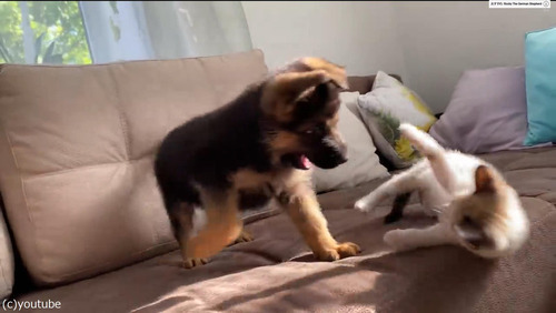 ��ǭ�ȻҸ��ȥ�ȥ�С�04