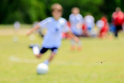 �Ҷ��μ̿��򥪡��ȥե��������ǻ��ä���01