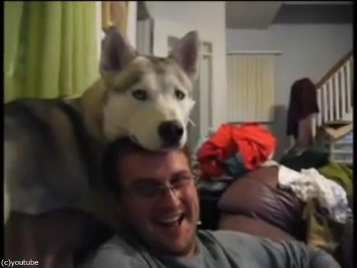 ����Ƭ�ξ�˴��褻�Ƥ���ȤǤ���ͷ��05