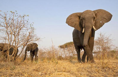 �ӡ��ȥ륫���07