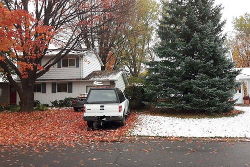 隣の家は明らかに季節が違う01