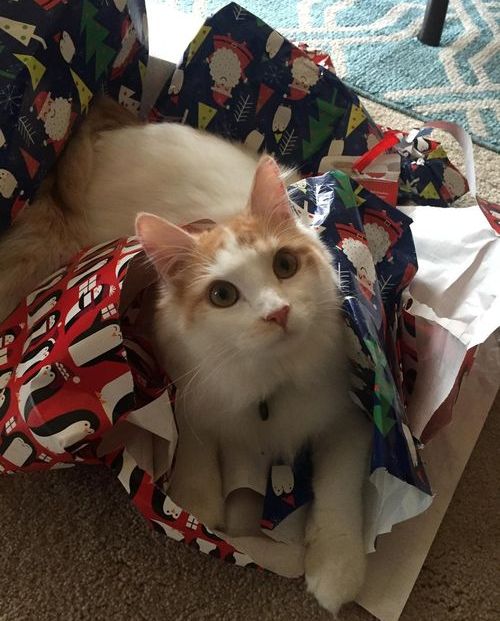 ��ǭ����ä���Ĥ��äݤ�������Ĺ����02