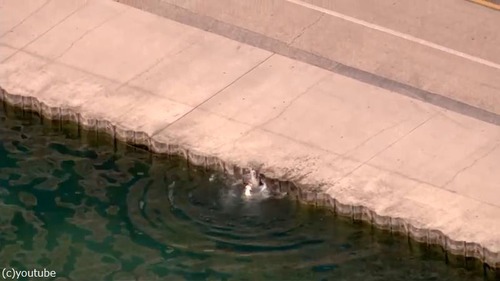 �ٴ�������߽�03