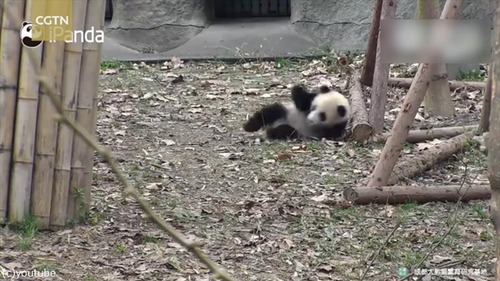 �����������դ���줿�ѥ���Ϥ����ʤ�07