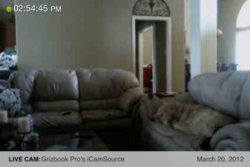 ���ե��ǿ��븤04