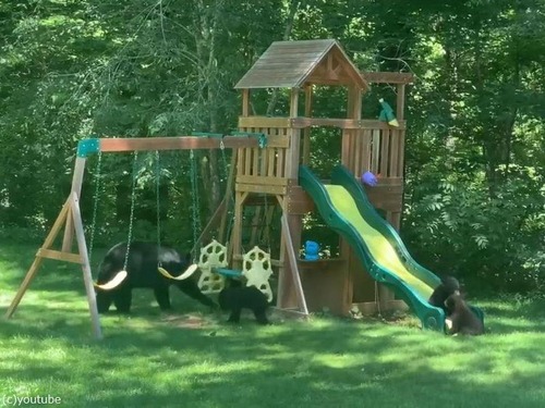 ͷǥޤοƻҤڤͷǤ03