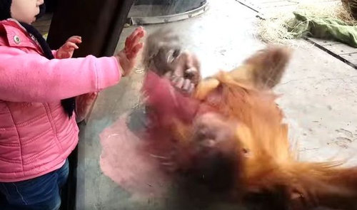 �֥쥤�����󥹤��륪��󥦡�����01