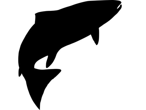 オーストラリア人「モンスターみたいな魚を捕まえたんだが…」