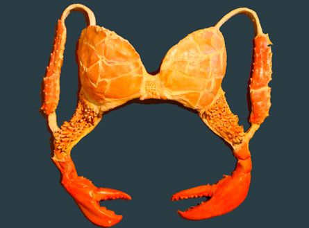 ������ʥ֥饸�㡼10