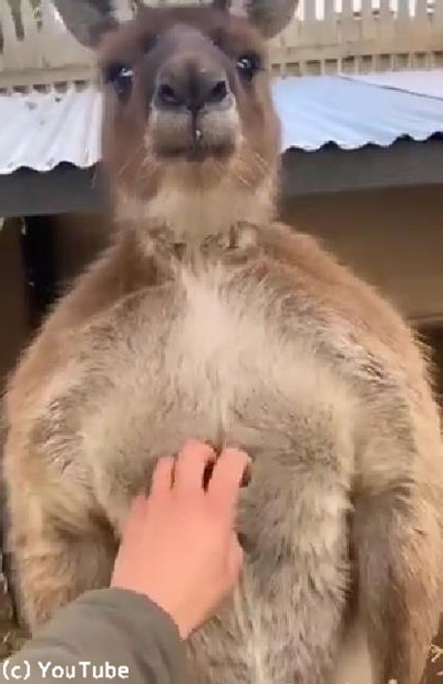 体はムキムキだけど心は甘えん坊02