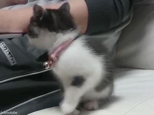 ̲�����臘��ǭ��������ξ���Ф�01