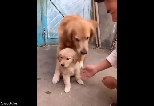 ���ݸ�ʸ�01