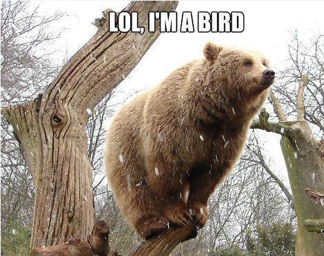 Ļ�Τ������Ȣ���֤��Ƥ����Ĥ��03