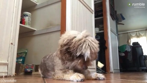 Ĺ�Ӥʤ�ǤϤ�Ǻ��03