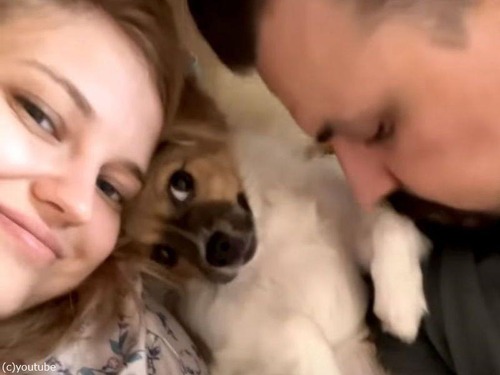 人間のママと寄り添っていた子犬…パパを行動で拒否する（動画）