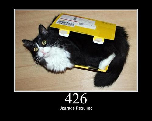 猫でHTTPステータスコード19