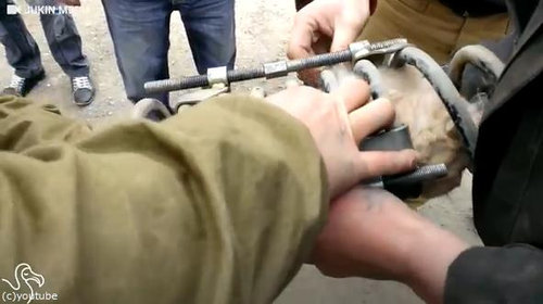 トラックの部品に挟まれたまま50マイルの旅をした猫04