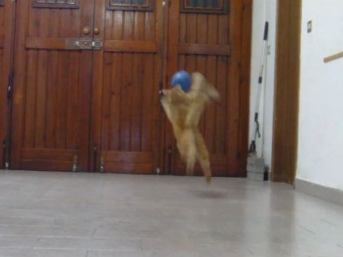 ���å���ǭ01