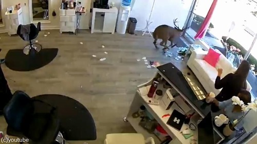 �����μ����뤫������Ƽ��Υӥå���ϥץ˥�04