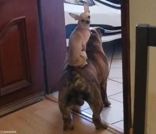 �����֥�ɥå��ξ�˾��03