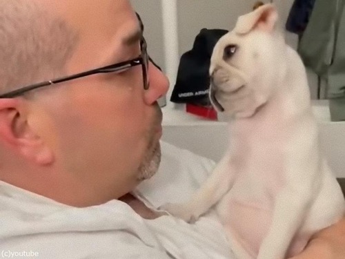 パグの赤ちゃんと飼い主の変な声