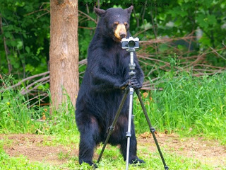 ���ƤΥХå��ѥå���ι��02