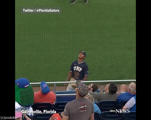 �ˤλҤ�ե�����ܡ��뤫����ޥ����å�01