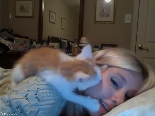 子猫、寝ている女性の顔に激しいキス00