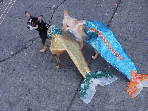 人魚パレード06