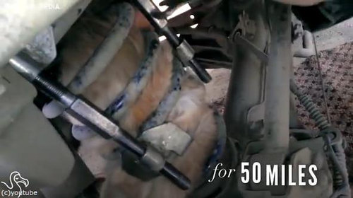 トラックの部品に挟まれたまま50マイルの旅をした猫02