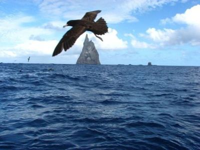 ボールズ・ピラミッド00