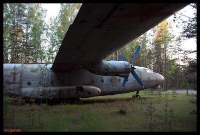 森に捨てられたロシアの輸送機07