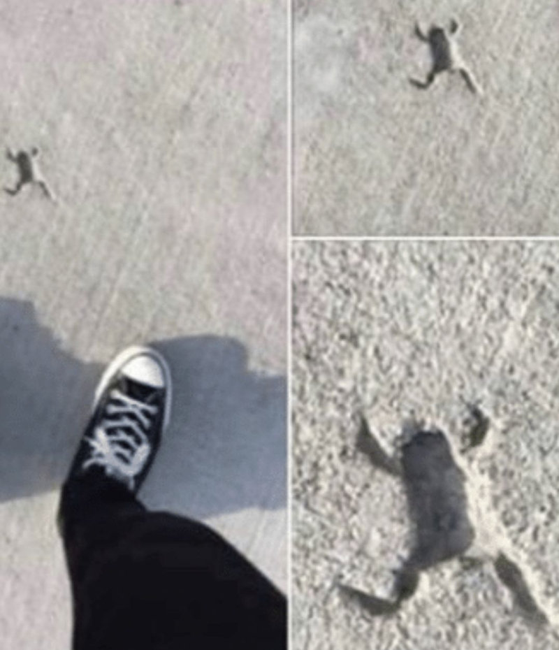 ここで悪いことが起きたに違いない 気になるコンクリートの痕跡 らばq