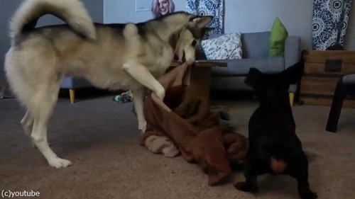 Ʊ�︤�������ͥ�����ϥ�����04