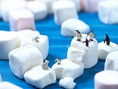 ����ʪ������¤�������ߥ˥��奢������00