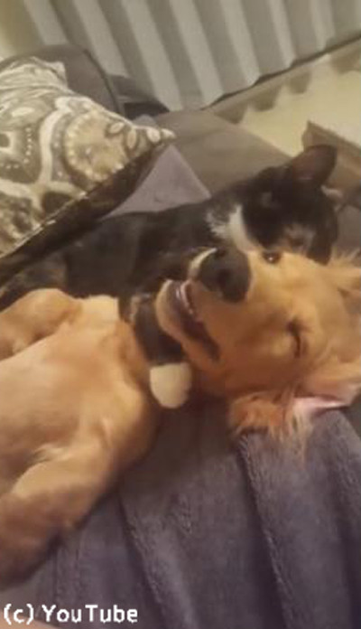 ǭ��Ķ��ƥ��˥å��˾�ŷ���븤04