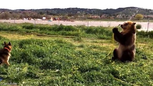 ��ͷ�Ӥ�ڤ��෧�ȸ�02