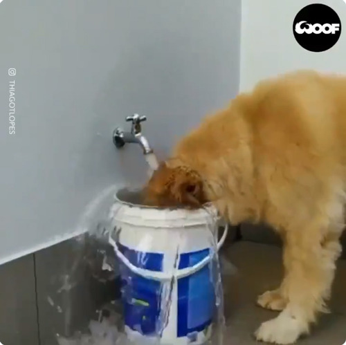 ����ʤ˹������Ƥ����...����˿�����������02