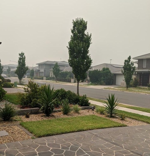 �������ȥ�ꥢ�ǻ˾�ǰ��ο��Ӳ�01