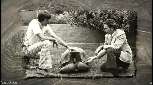 絶滅を救ったガラパゴスの「絶倫」亀が引退03