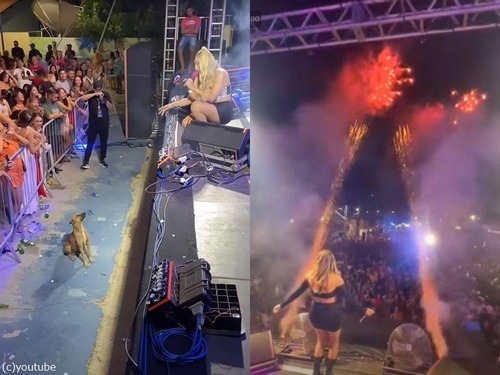 ブラジルの女性歌手のコンサート中に犬…安全のために花火演出を止める