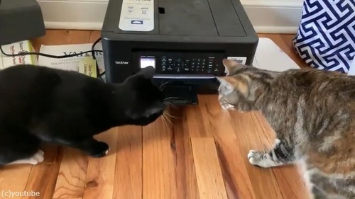 �ץ�󥿡��˶�̣�š���ǭ�����襤��02