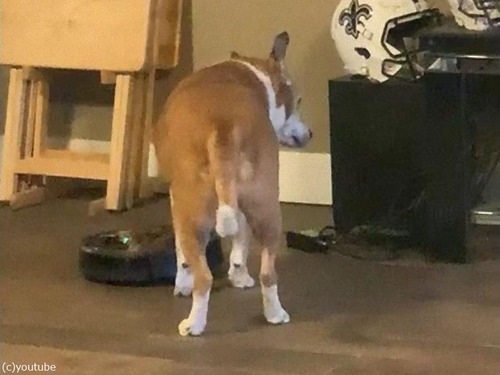 ���ܥå��ݽ����ȸ�04