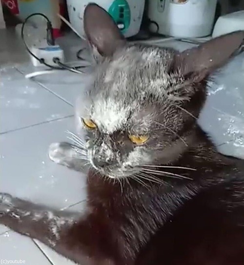 ����ʴ�˴���ͤù������ǭ03