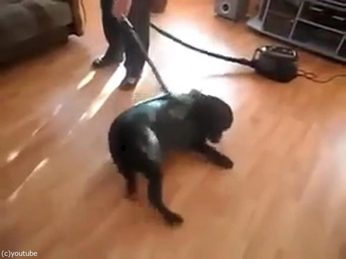 �ݽ�����֤ʸ�06